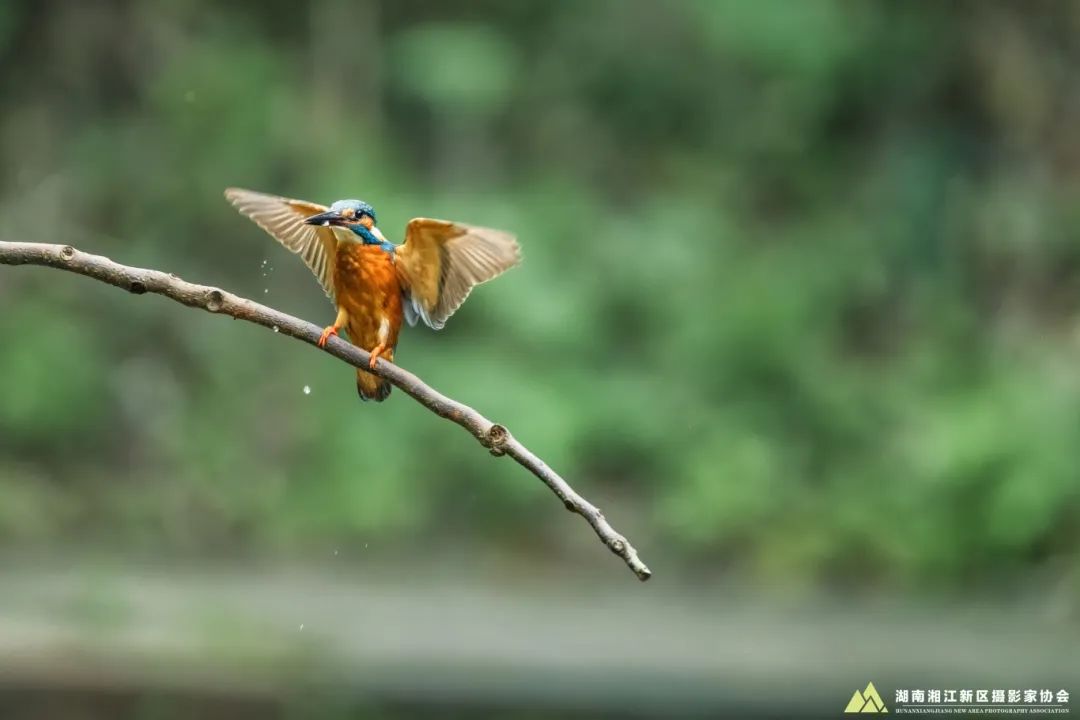 DƬ